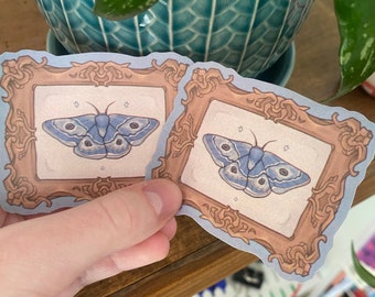 May include: Two blue and white butterfly stickers with gold frames on a light blue background. The butterflies have a detailed design and are surrounded by stars.