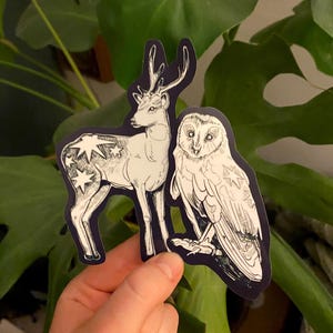 Star Deer + Owl Sticker | Waterproof + Glossy