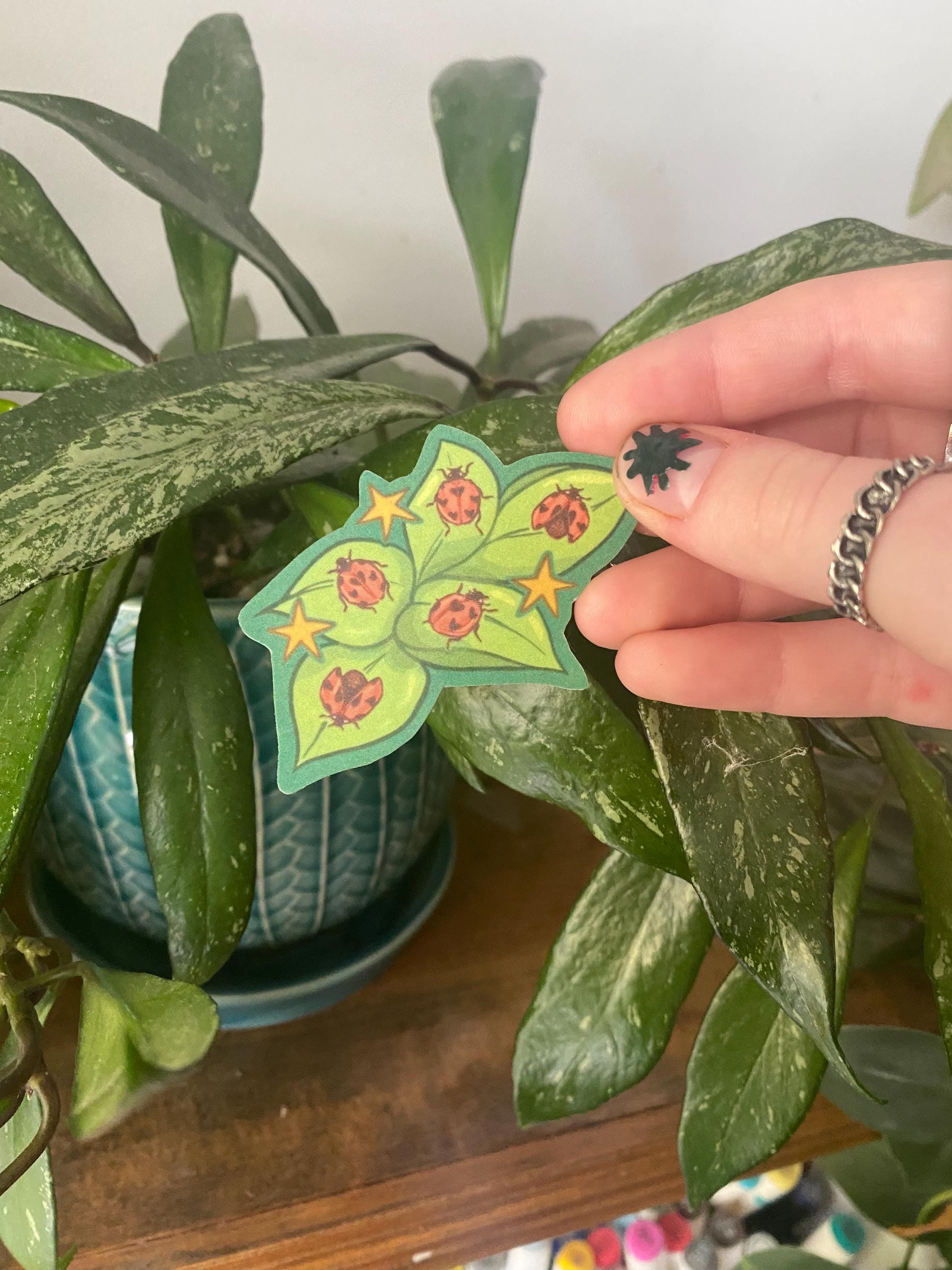 Ladybug Sticker | Waterproof and Glossy