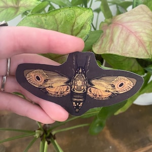 Emerald Moth Butterfly Sticker | Waterproof and Glossy