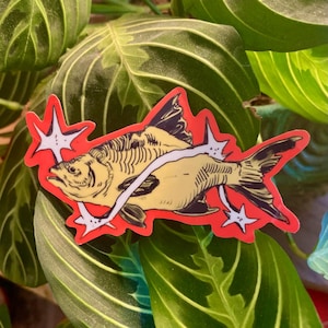 May include: A die-cut sticker featuring a yellow fish with black line-work details, surrounded by a bright red border. The fish is encircled by a white, curved, star-shaped graphic element that includes two four-pointed stars on the left and right.