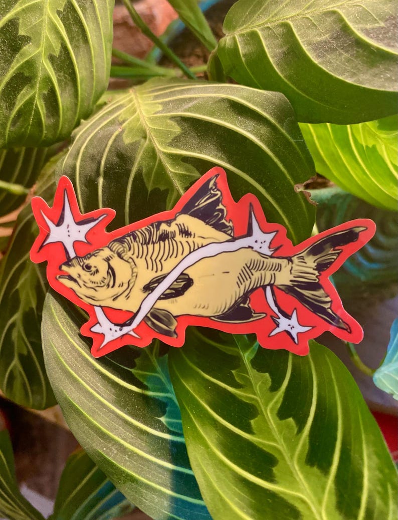 May include: A die-cut sticker featuring a yellow fish with black line-work details, surrounded by a bright red border. The fish is encircled by a white, curved, star-shaped graphic element that includes two four-pointed stars on the left and right.