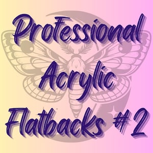 PROFESSIONALS - Acrylic Flatback Statement Pieces pt2