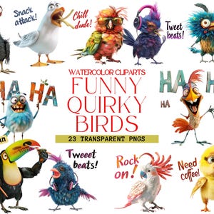 Imágenes prediseñadas de pájaros extravagantes y divertidos PNG Ilustraciones de pájaros extravagantes Gráficos de animales de pájaros extravagantes Descarga Ilustraciones extravagantes, pájaros locos y divertidos