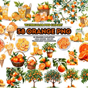 58 Watercolour Orange Clipart, Fruit Clipart, Orange PNG Bundle, Watercolour Citrus Wreath, Orange Flowers, Commercial Use, Instant Download