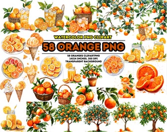 Watercolor Orange Clipart, Fruit Wreath, Flower PNG Bundle (58 Images) (Commercial Use) (Instant Download)