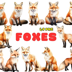 Bundle de cliparts renard, 49 PNG animaux des bois pour autocollants, sublimation et travaux manuels, pack d'illustrations renard, usage commercial, téléchargement immédiat