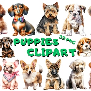 Clipart de chiots à l'aquarelle | Clipart chiot peint | Illustrations de chiot | Graphiques PNG | Téléchargement immédiat pour usage commercial, clipart chiot