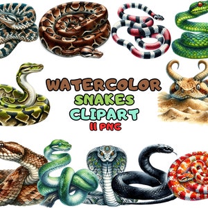 Clipart aquarel slangen | Cobra, zwarte mamba, anaconda, adder, ratelslang, dierenillustratie | Directe download voor commercieel gebruik