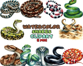 Watercolor Snakes Clipart: Reptile Illustrations (Instant Download)