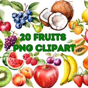 Clipart de frutas em aquarela, Clipart de frutas, Clipart de mirtilo, Fundo de frutas, PNG de frutas, Clipart de laranja, Gráficos de banana, Clipart de ameixa