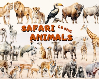 Safari Animal Clipart Bundle: 40 Wildlife PNG Designs (Digital Download)