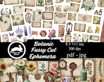 May include: A collection of botanical-themed ephemera, including vintage postcards, envelopes, and floral illustrations. The design features roses, butterflies, swans, and candles. The paper size is 8.5 x 11 inches.