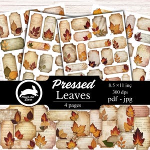 May include: A collection of four sheets of paper with vintage-style labels and banners, adorned with pressed leaves in shades of red, orange, and yellow. The text "Pressed Leaves" is displayed, along with the dimensions 8.5 x 11 inches.