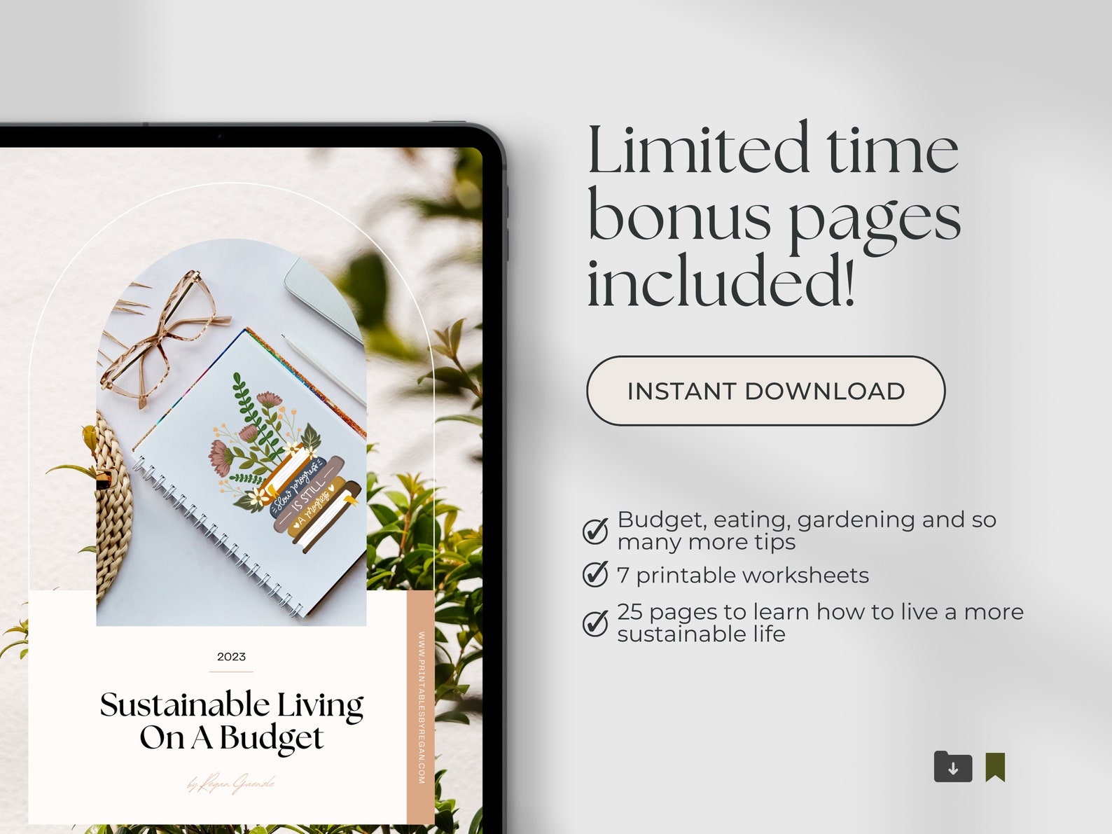 View of Economy - OECD