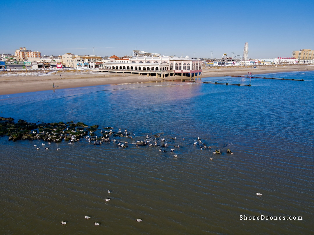Ocean City, NJ Music Pier . Digital Download Etsy