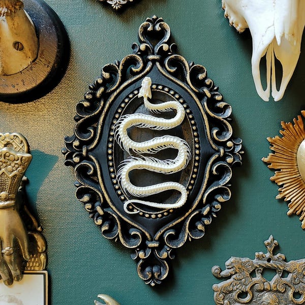Esqueleto de serpiente taxidermia real sobre marco de placa ornamentado negro de 22 cm x 15 cm, decoración gótica para el hogar, rarezas de gabinete de curiosidades, arte mural de Halloween