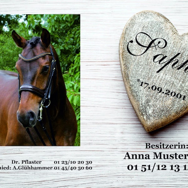 Stalltafel Boxenschild personalisiert mit Foto individuel