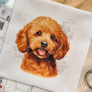 Puede incluir: Patrón de punto de cruz con un caniche marrón y blanco con una expresión feliz. El patrón está en tela Aida blanca.