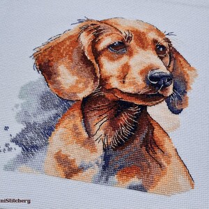May include: A cross-stitch embroidery on white fabric featuring a portrait of a brown dachshund with floppy ears and a black nose. The design includes subtle blue and grey shading around the dog and the text BananiStitchery in the corner.
