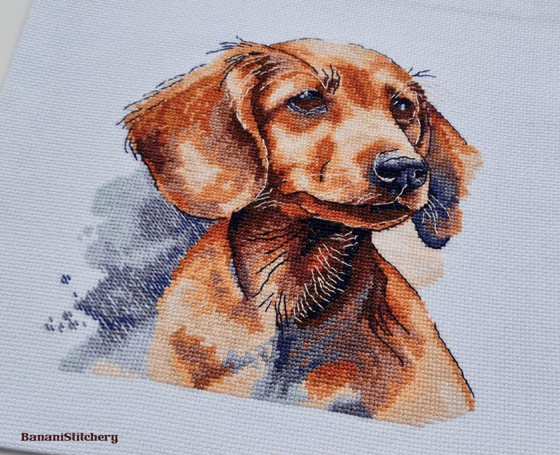 May include: A cross-stitch embroidery on white fabric featuring a portrait of a brown dachshund with floppy ears and a black nose. The design includes subtle blue and grey shading around the dog and the text BananiStitchery in the corner.