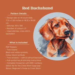 May include: A cross stitch pattern titled Red Dachshund featuring a portrait of a brown dog. Pattern details include a design size of 7.21 x 7.50 inches on 14-count Aida, 101 x 105 stitches, 21 colors, and cross stitch and backstitch techniques.