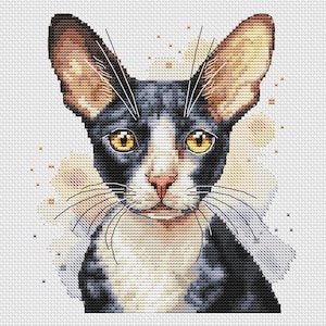 Black and White Cornish Rex Cross Stitch Pattern |  Shorthair Cat Portrait PDF & SAGA Chart | Tuxedo Devon Rex Embroidery | Pet Portrait