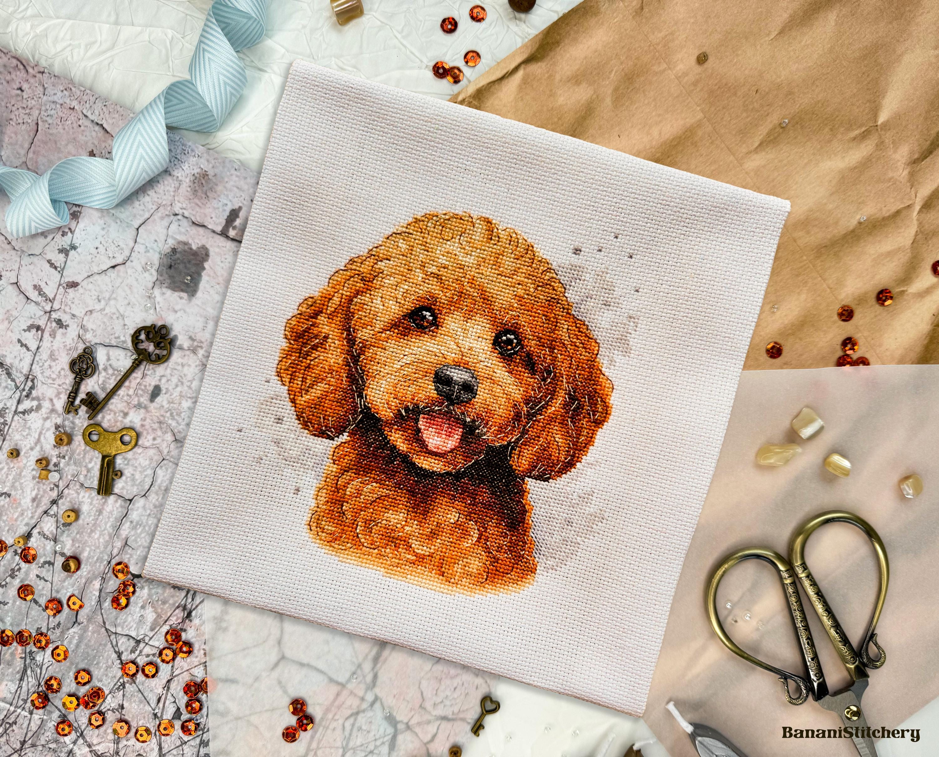 リクエストトイプードル作品 赤いトイプードルのクロスステッチパターン アプリコットミニチュア