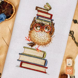 May include: A cross-stitch pattern on white fabric featuring a fluffy brown owl wearing red glasses. The owl is positioned between two stacks of colorful books, with one stack balanced on its head and the other stack beneath its feet.