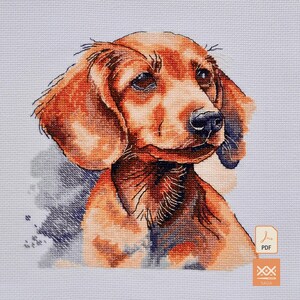 May include: A cross-stitch pattern featuring a portrait of a brown dachshund dog with floppy ears and a black nose, rendered in shades of orange, brown, and dark blue on a light blue grid fabric, with a small PDF icon in the corner.