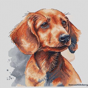 May include: A cross-stitch pattern featuring a brown dog with floppy ears and dark eyes. The design is rendered in a grid-like texture on a light background, with the text BananiStitchery printed in the bottom right corner.