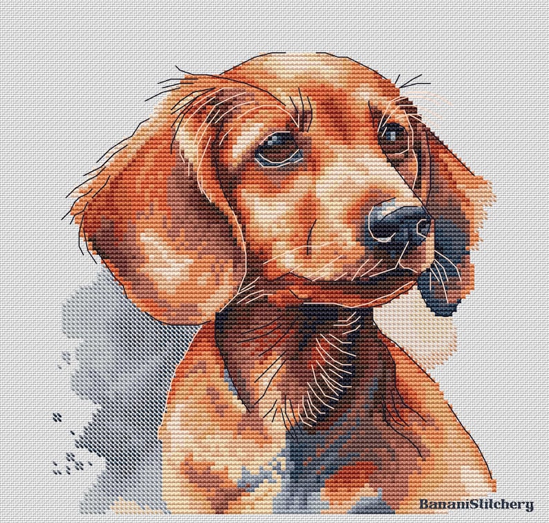 May include: A cross-stitch pattern featuring a brown dog with floppy ears and dark eyes. The design is rendered in a grid-like texture on a light background, with the text BananiStitchery printed in the bottom right corner.