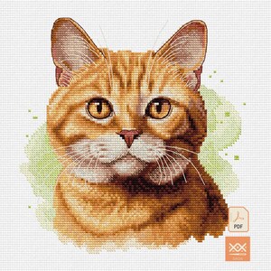 Puede incluir: Un patrón de punto de cruz con el retrato de un gato atigrado naranja con ojos color ámbar, nariz rosa y bigotes blancos. El gato está sobre un fondo verde claro estilo acuarela. Un icono de PDF y un logotipo de Saga están en la esquina.