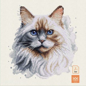 Puede incluir: Un patrón de punto de cruz con el retrato de un gato de pelo largo con ojos azules, pelaje crema y marrón, y bigotes blancos. El diseño está sobre un fondo de tela clara con un icono de PDF y el logotipo de SAGA en la esquina.