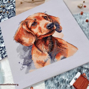 May include: A square cross-stitch embroidery piece featuring a detailed portrait of a brown dachshund dog with floppy ears and dark eyes, set against a light gray fabric background with the text BananiStitchery printed in the bottom corner.