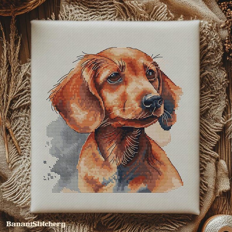 May include: A square canvas featuring a cross-stitch portrait of a brown dachshund with floppy ears and dark eyes. The dog is rendered in shades of orange, brown, and black thread. The text BananiStitchery is printed in the bottom left corner.