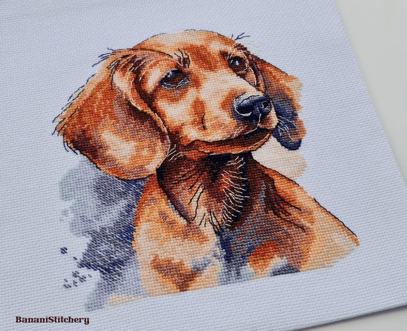 May include: A cross-stitch embroidery of a brown dachshund dog on white fabric. The dog has long ears, dark eyes, and a black nose. The design features watercolor-style shading in blue and brown tones. The text BananiStitchery is printed in the corner.