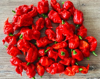 10 Semillas De Pimiento Ají Carolina Reaper Rojo