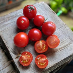 Op de afbeelding: Een groep rode cherrytomaten op een houten snijplank. Sommige van de tomaten zijn heel, terwijl andere doormidden zijn gesneden, waardoor de zaden zichtbaar worden.