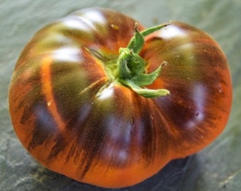 Tomate Piña Azul (10 semillas)