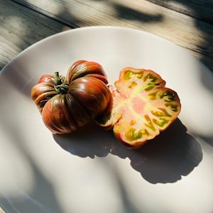 Jarson 12/1 tomat (10 frön)