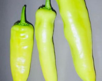 Hungarian Yellow Wax Hot Pepper