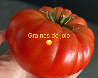 Tomate Russe Rouge (10 graines)