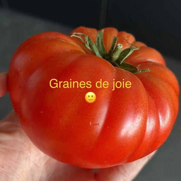 Tomate Russe Rouge (10 graines)