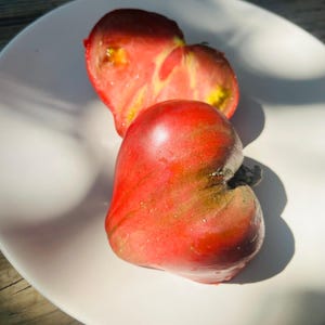 Alofirov&#39;s Secret Tomato