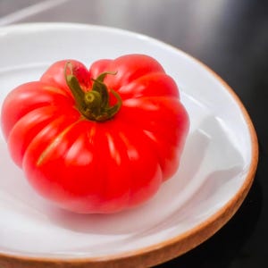 Tomate Brutus (10 graines)