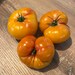 see more listings in the Graines de Tomate section