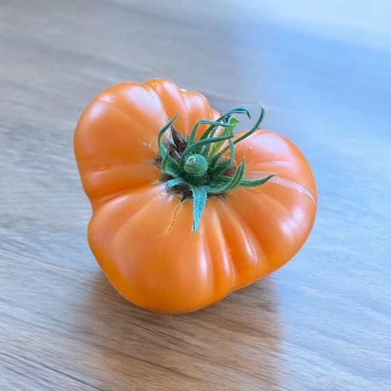 Kellogg's Breakfast Tomato - Etsy Canada