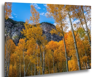 Aspen Trees Colorado Fall Foliage Photo Autumn Forest Wall Art Mountain Landscape Photography Nature Print Yellow Trees