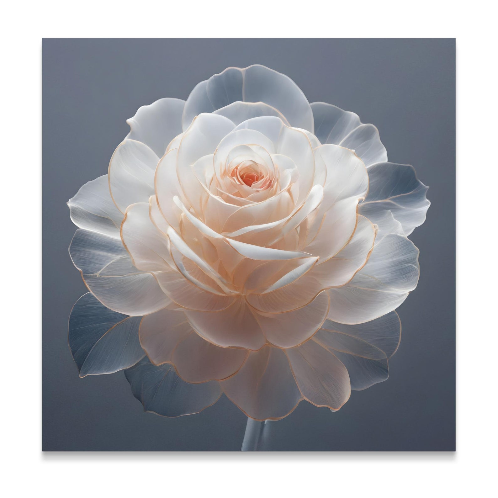 Exquisite Floral Wall Art, Minimalist Flower Print, Botanical Artwork ...